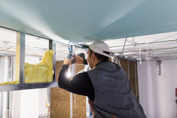 Best Professional Insulation Contractor  in Placerville, CA